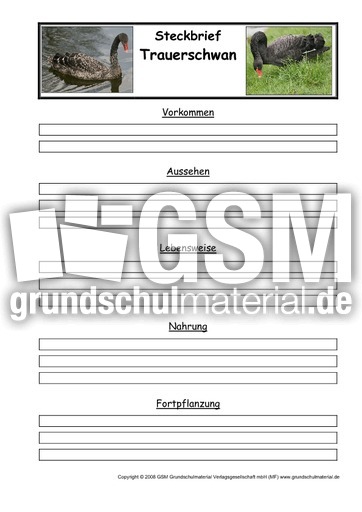 Steckbriefvorlage-Trauerschwan.pdf